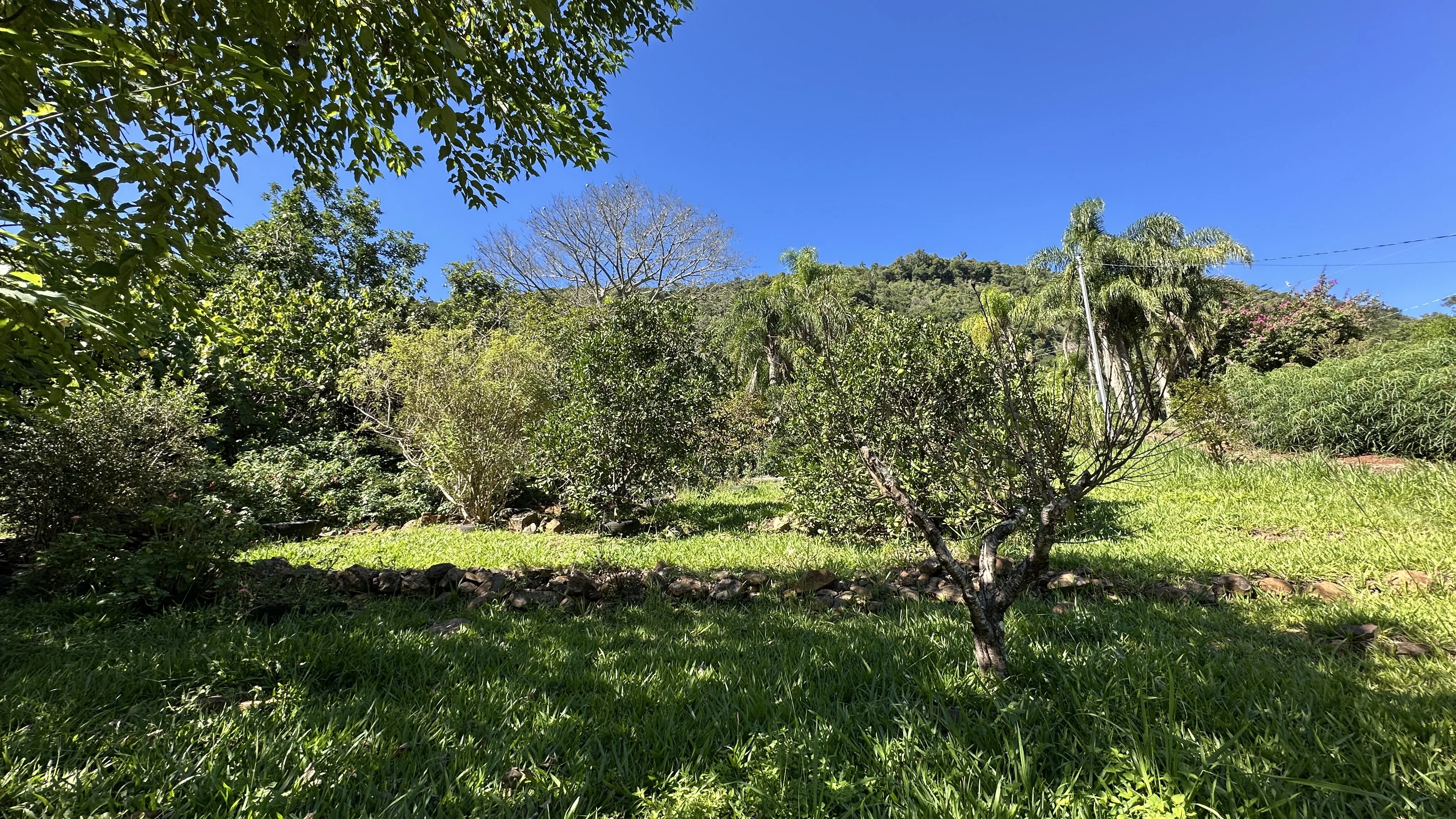 Área de terras com fundos para riacho à venda em Picada Café na Serra Gaúcha