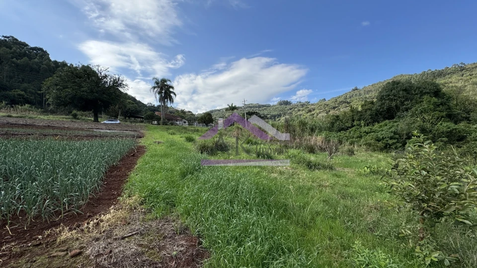 Imagens do imóveis Amplo terreno com vista à venda em Picada Café na Serra Gaúcha