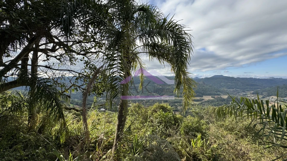 Imagens do imóveis Sítio com vista espetacular à venda em Santa Maria do Herval