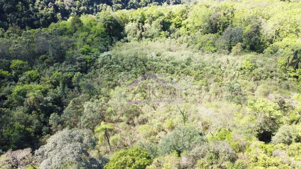 Imagens do imóveis Área de terra com vista à venda em Picada Café na Serra Gaúcha