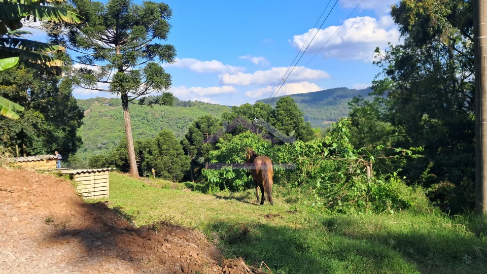 Excelente área de terra com ótima localizaçao à venda em Nova Petrópolis