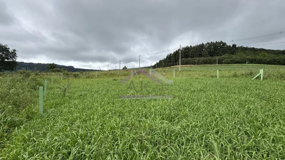 Imagens do imóveis Terreno à venda em Nova Petrópolis na Serra Gaúcha