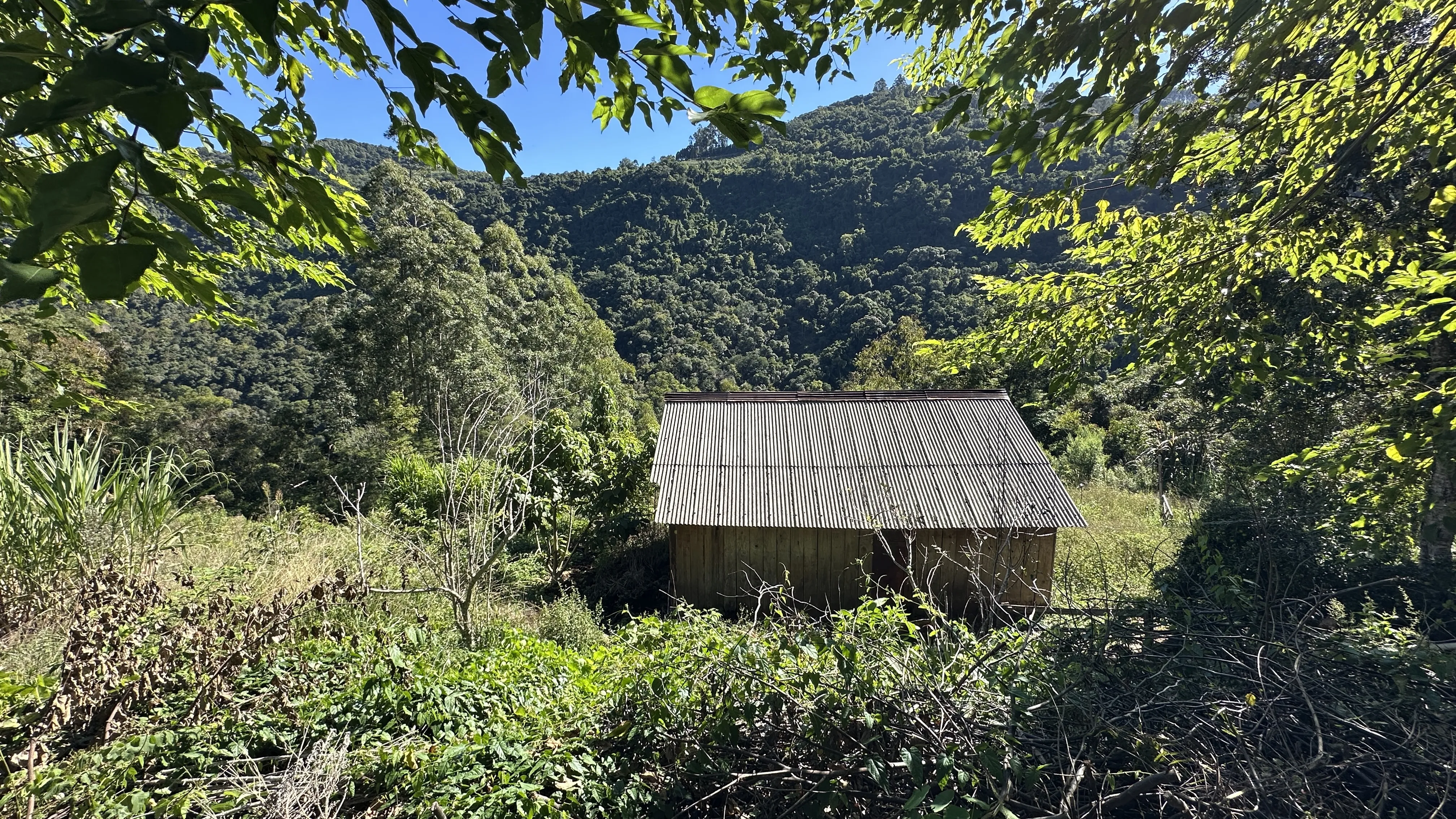 Área de terras com fundos para riacho à venda em Picada Café na Serra Gaúcha