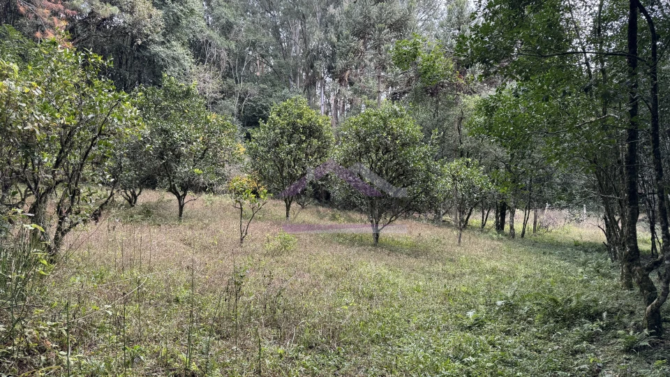 Imagens do imóveis Sítio com vista espetacular à venda em Santa Maria do Herval