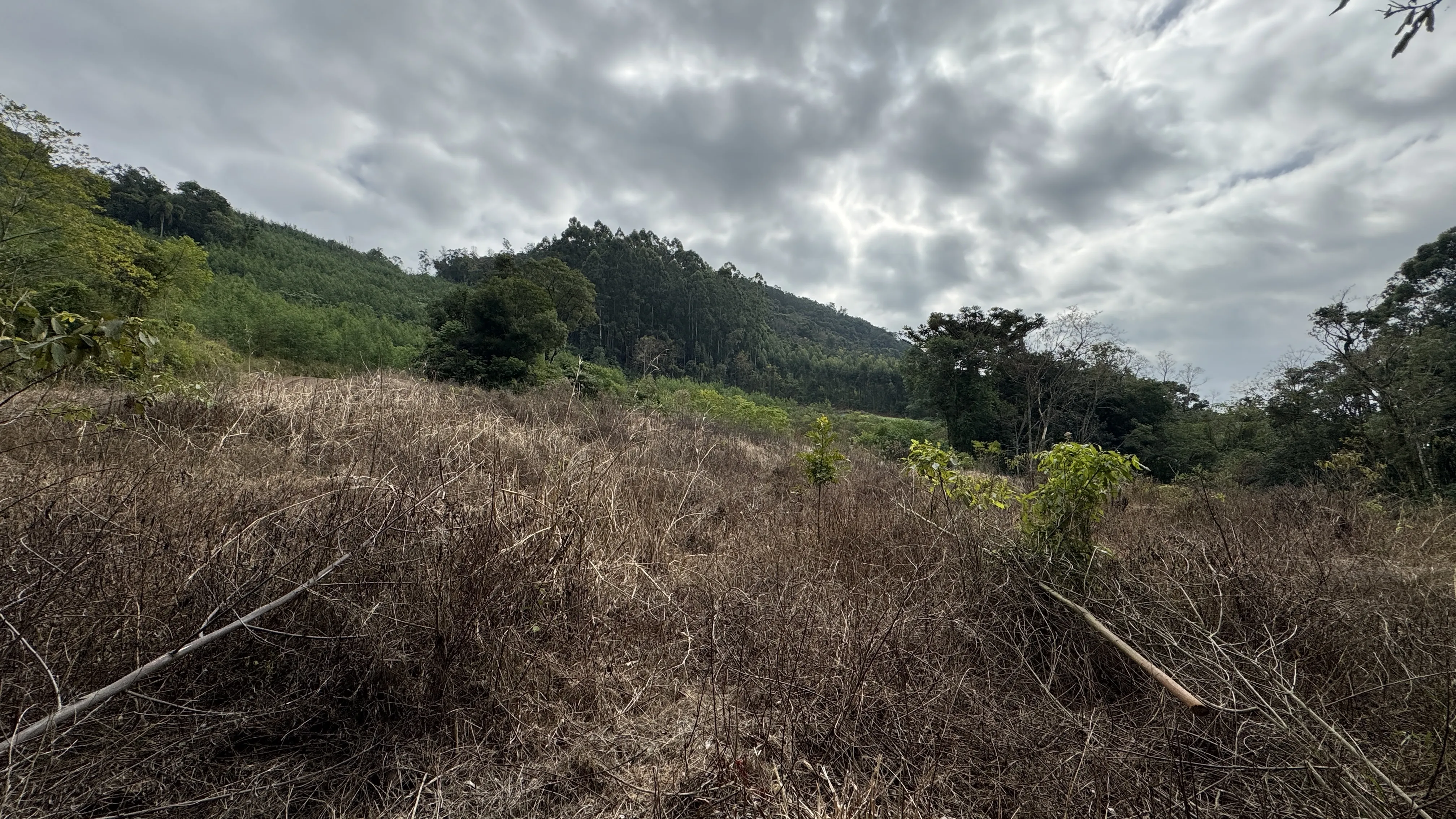 Área de terra com açudes e riacho à venda em Morro Reuter-RS