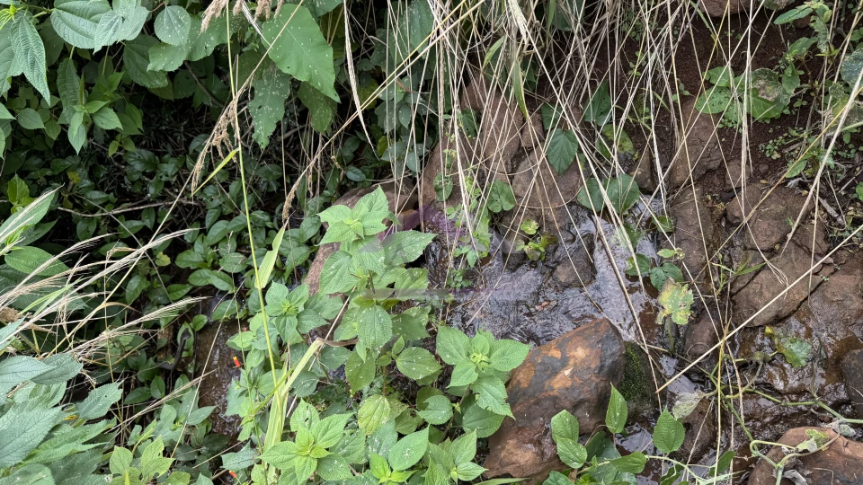 Área de terra com vista e vertente à venda em Morro Reuter-RS