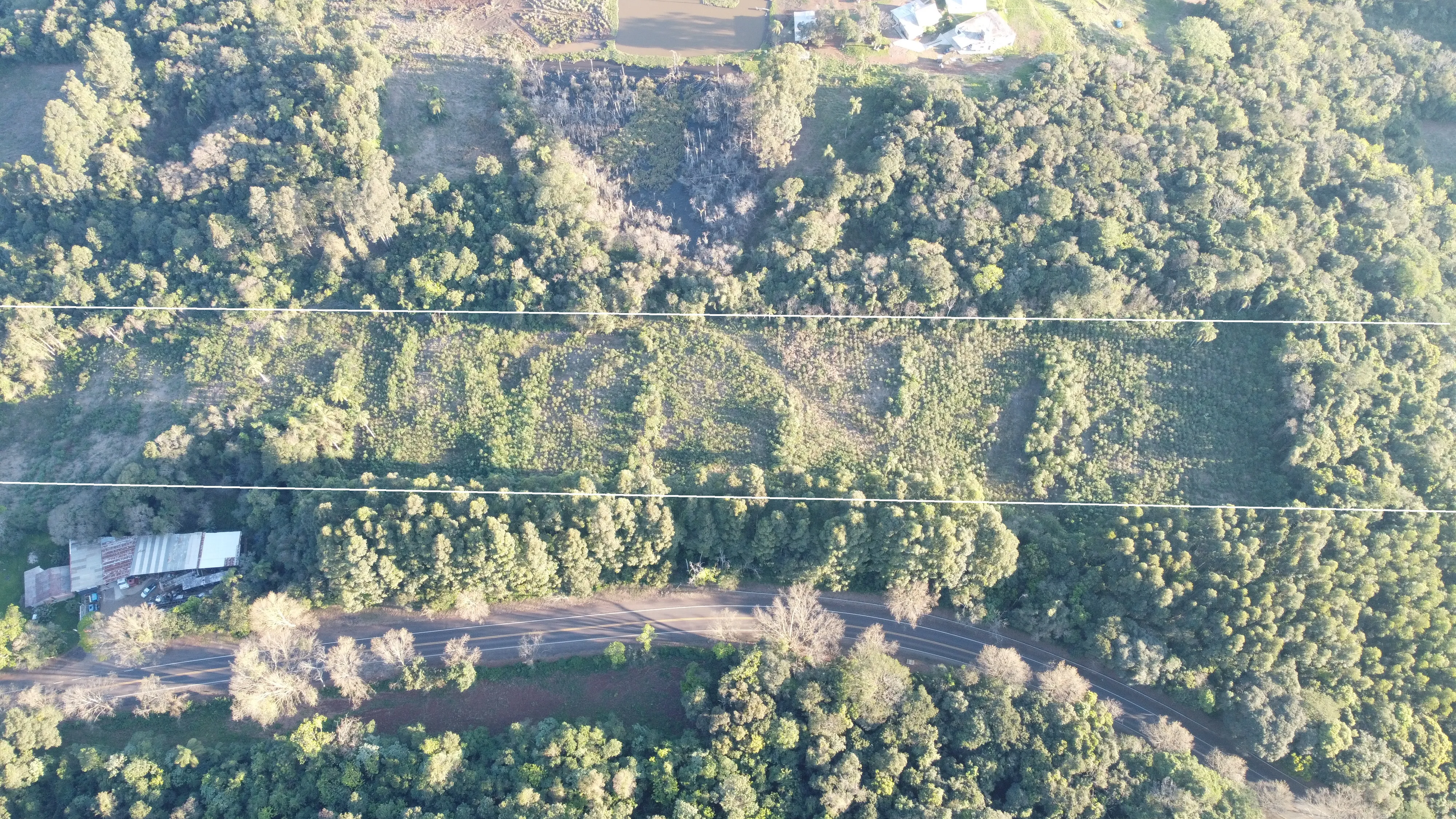 Área de terras com duas frentes para a BR 116 à venda em Picada Café na Serra Gaúcha