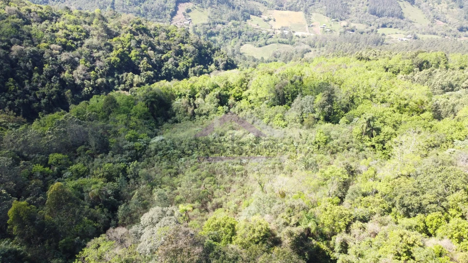 Imagens do imóveis Área de terra com vista à venda em Picada Café na Serra Gaúcha