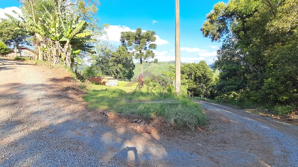 Excelente área de terra com ótima localizaçao à venda em Nova Petrópolis