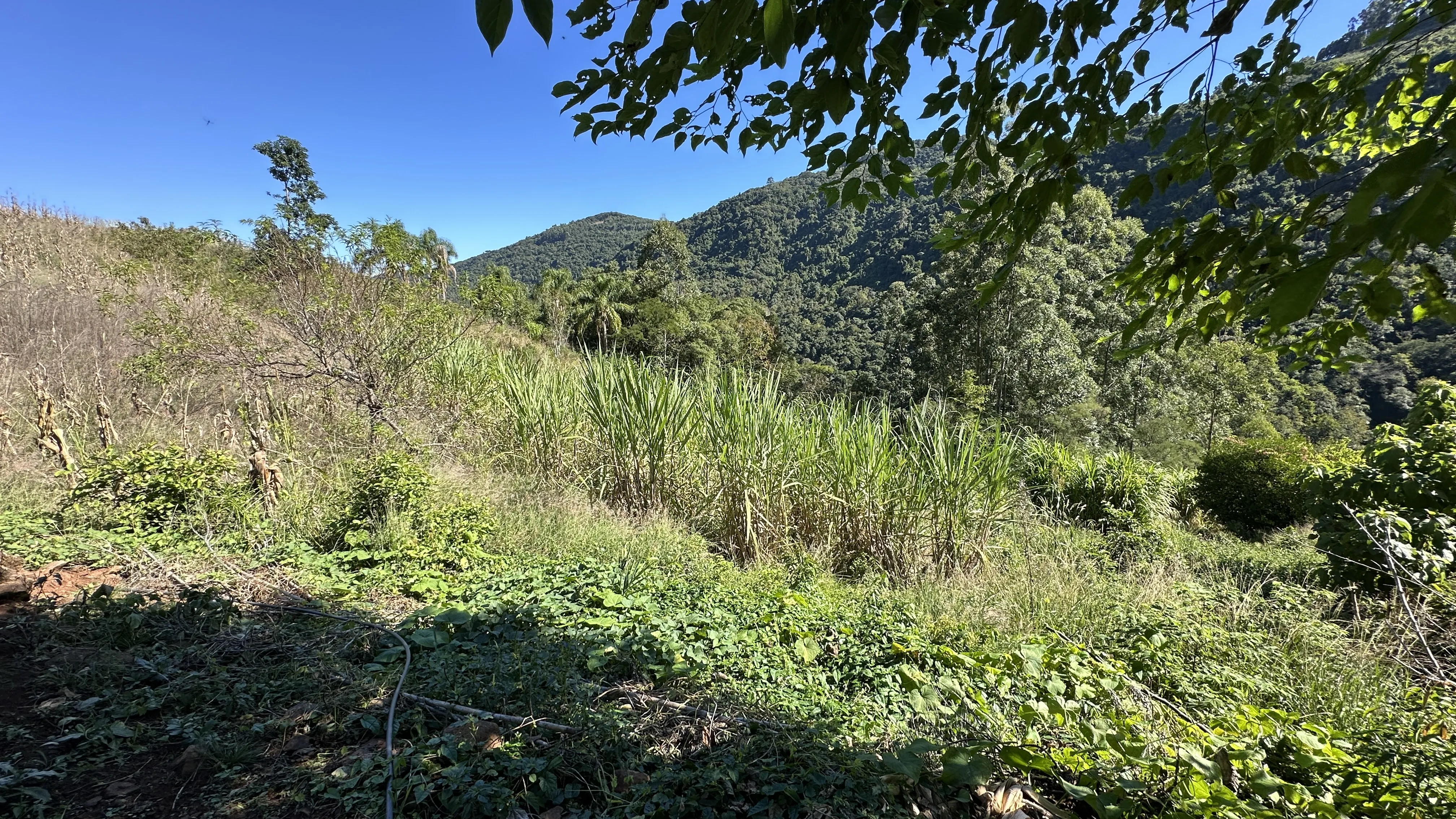 Área de terras com fundos para riacho à venda em Picada Café na Serra Gaúcha
