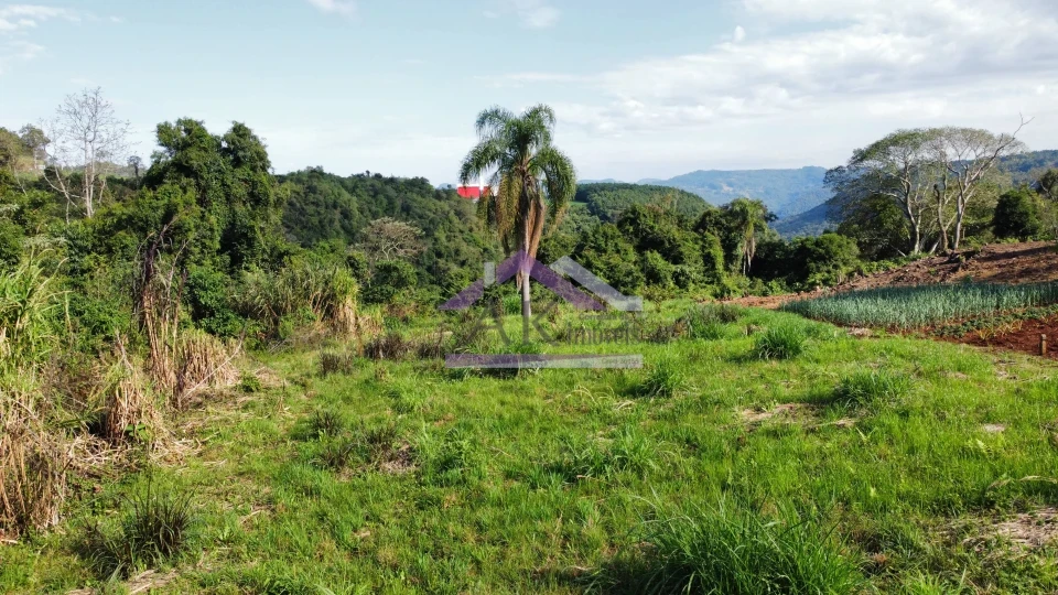 Imagens do imóveis Amplo terreno com vista à venda em Picada Café na Serra Gaúcha