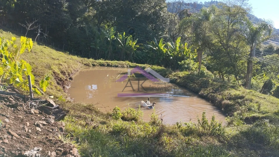 Imagens do imóveis Excelente sítio com casa enxaimel e açude à venda em Picada Café na Serra Gaúcha