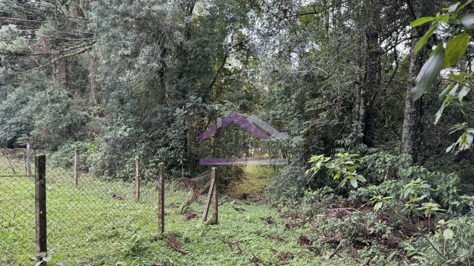 Imagens do imóveis Sítio com vista espetacular à venda em Santa Maria do Herval