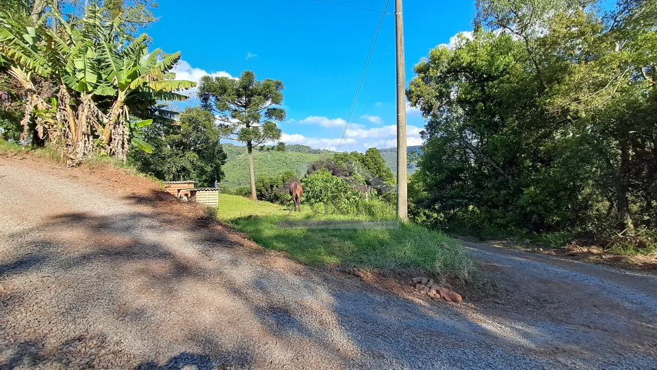 Excelente área de terra com ótima localizaçao à venda em Nova Petrópolis