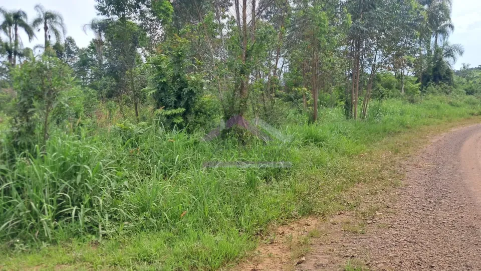 Imagens do imóveis Área de terra com 3 hectares e riacho à venda em Presidente Lucena