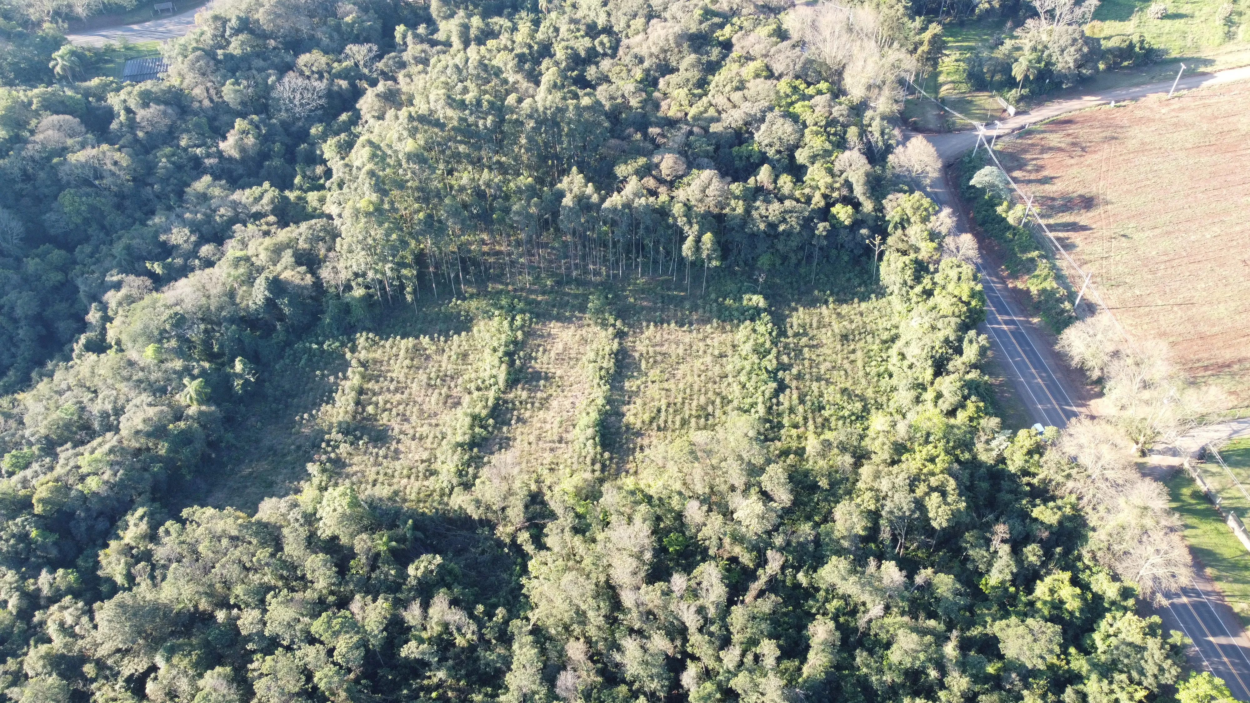 Área de terras com duas frentes para a BR 116 à venda em Picada Café na Serra Gaúcha
