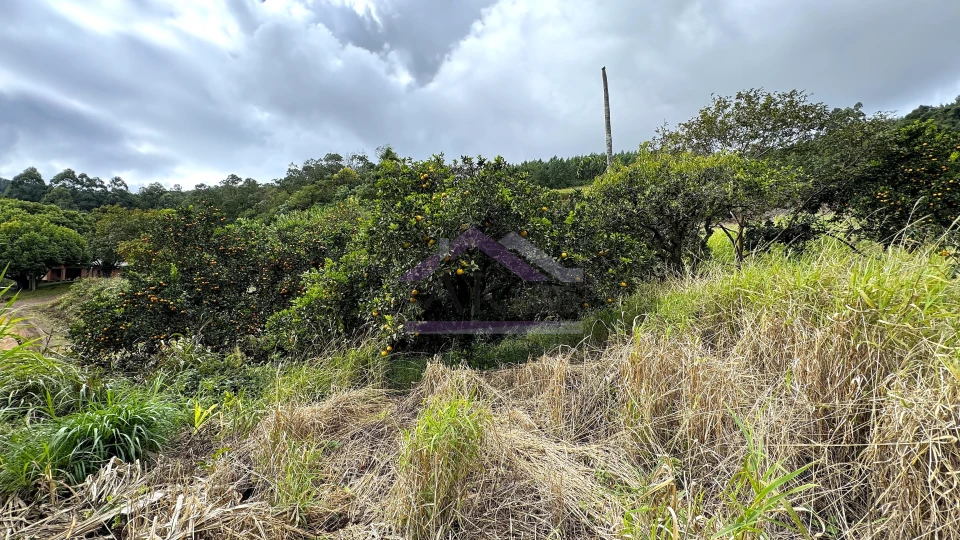 Área de terra com vista e vertente à venda em Morro Reuter-RS