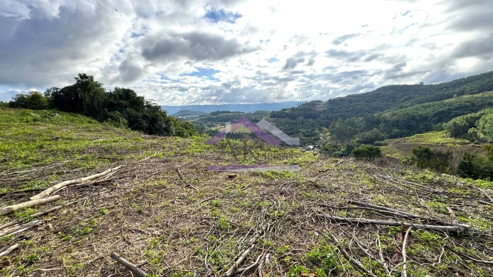 Fazenda/Sítios/Chácaras À Venda Recanto Das Flores Morro Reuter