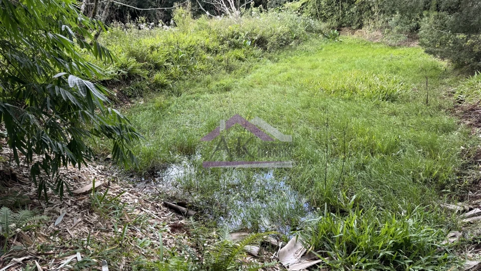 Imagens do imóveis Sítio com vista espetacular à venda em Santa Maria do Herval