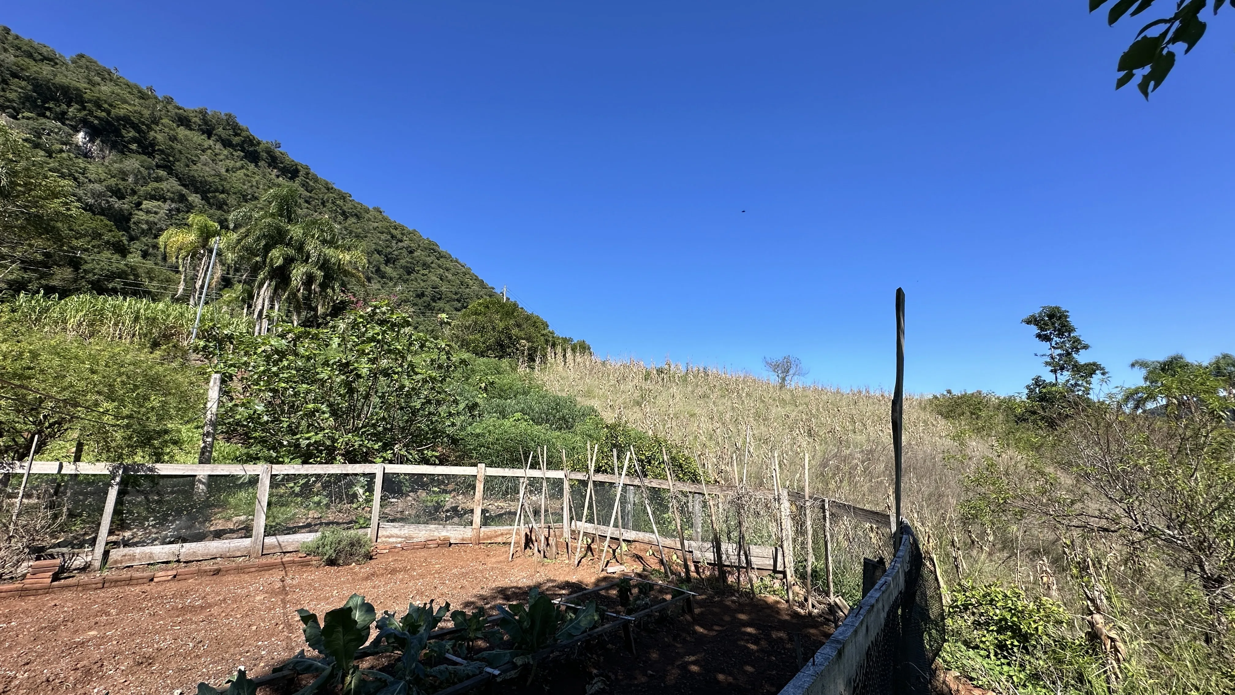 Área de terras com fundos para riacho à venda em Picada Café na Serra Gaúcha
