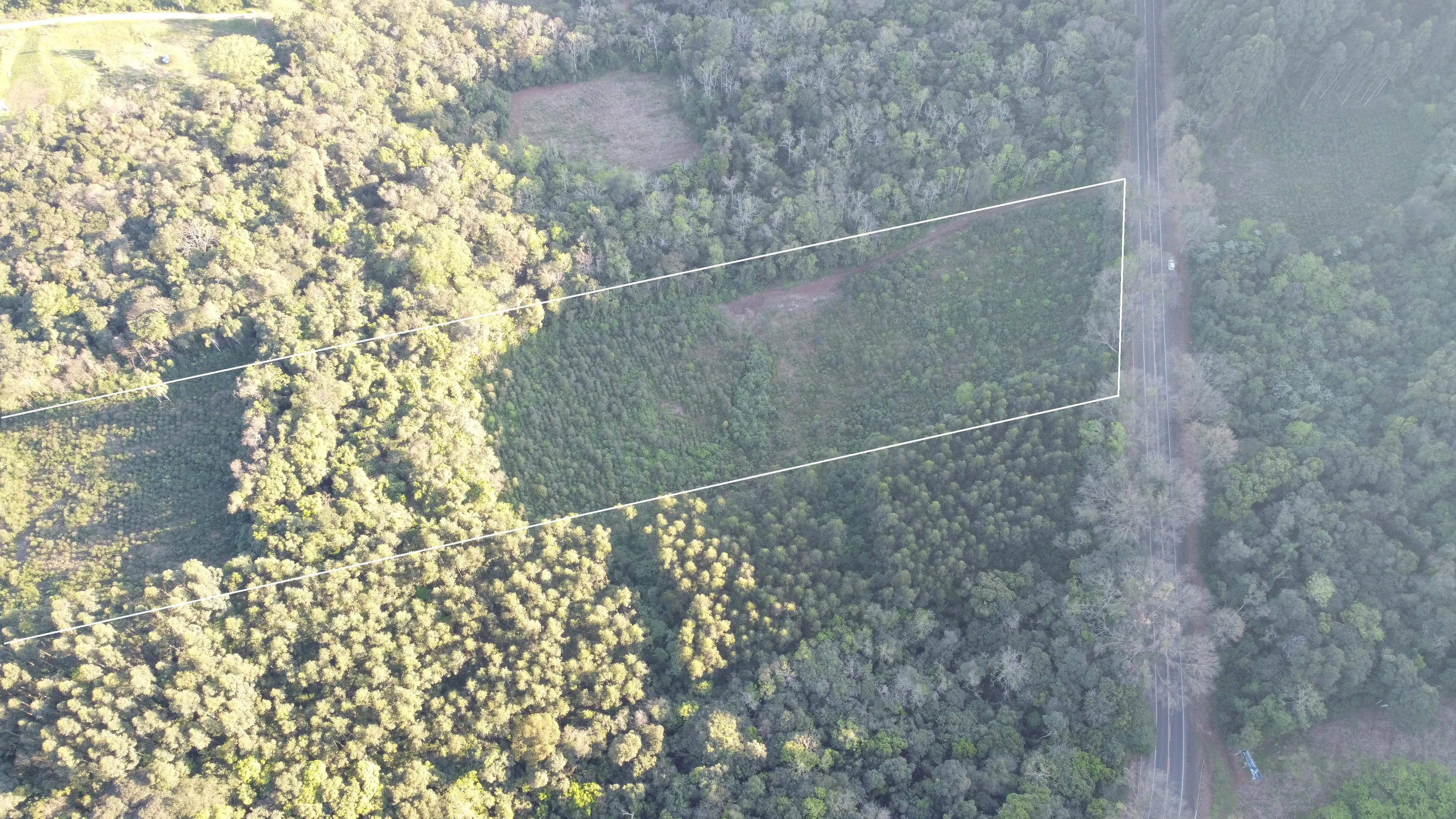 Área de terras com duas frentes para a BR 116 à venda em Picada Café na Serra Gaúcha