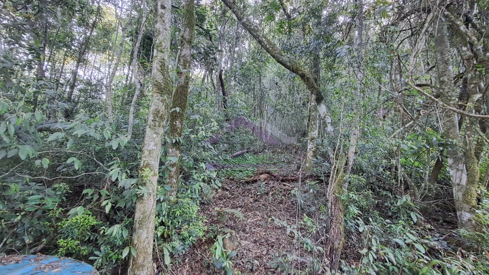 Excelente área de terra com ótima localizaçao à venda em Nova Petrópolis