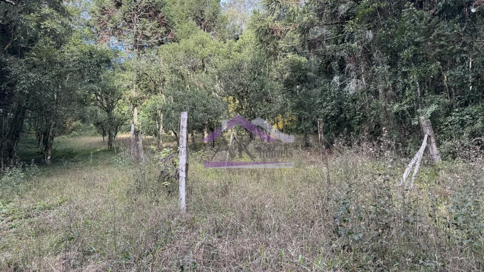 Imagens do imóveis Sítio com vista espetacular à venda em Santa Maria do Herval