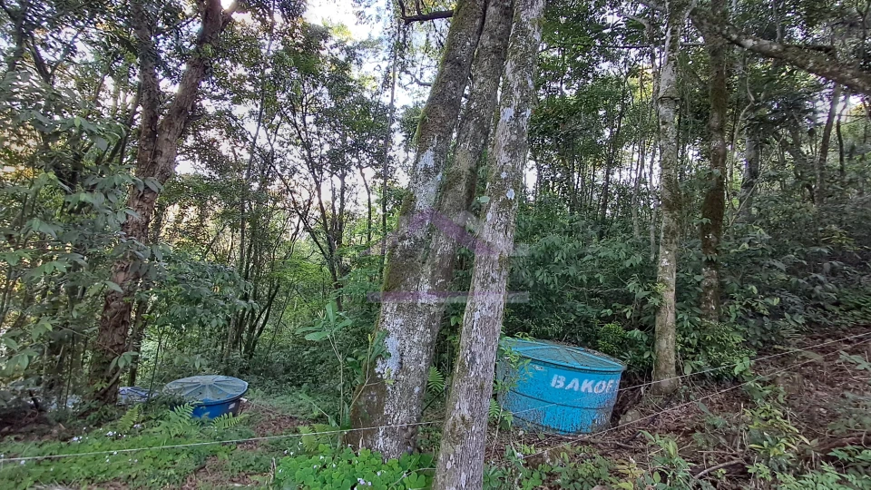 Excelente área de terra com ótima localizaçao à venda em Nova Petrópolis