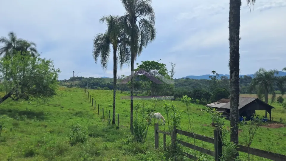 Imagens do imóveis Excelente área de terra com ótima localizaçâo à venda em Presidente Lucena