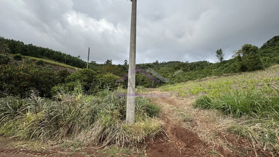 Área de terra com vista e vertente à venda em Morro Reuter-RS