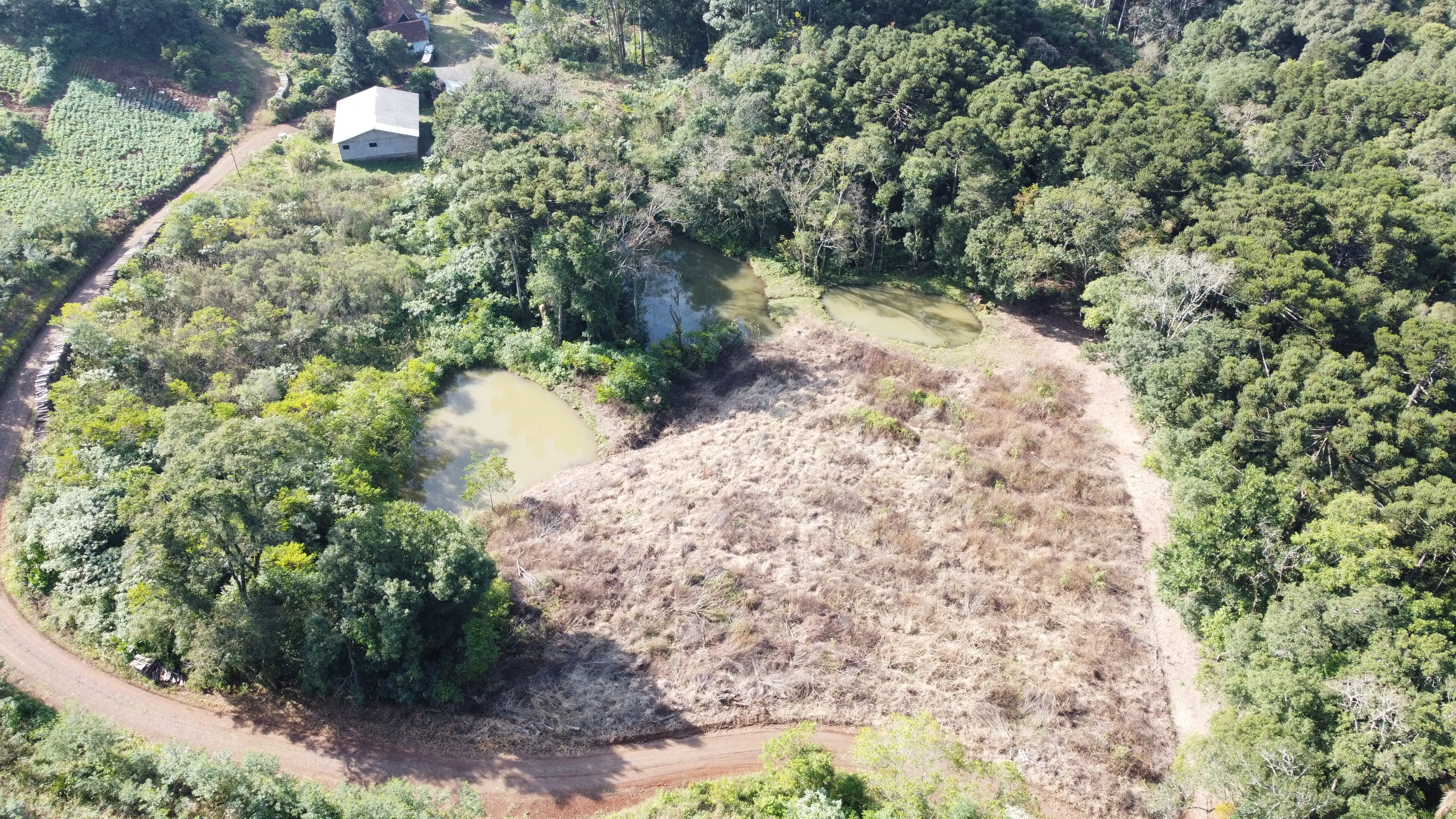 Área de terra com açudes e riacho à venda em Morro Reuter-RS