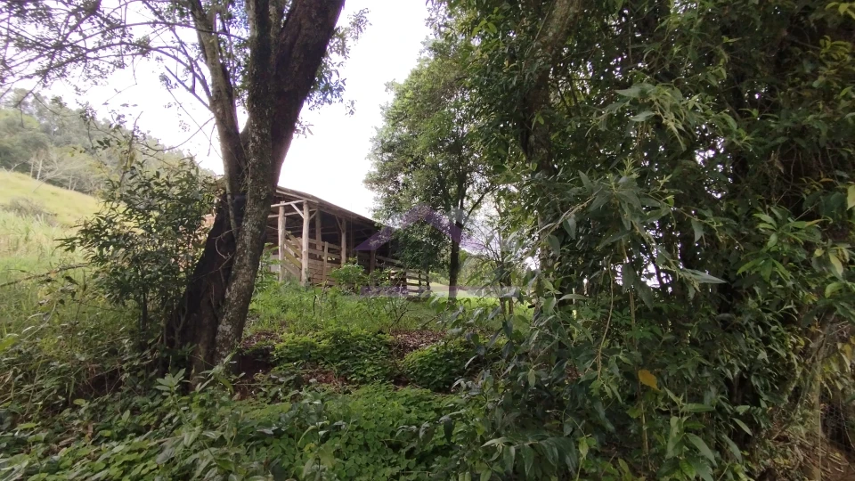 Imagens do imóveis Área de terra com vista panorâmica à venda próxima ao centro de Picada Café na Serra Gaúcha