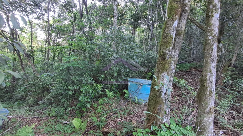 Excelente área de terra com ótima localizaçao à venda em Nova Petrópolis