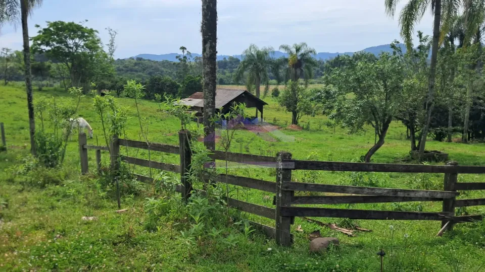 Imagens do imóveis Excelente área de terra com ótima localizaçâo à venda em Presidente Lucena