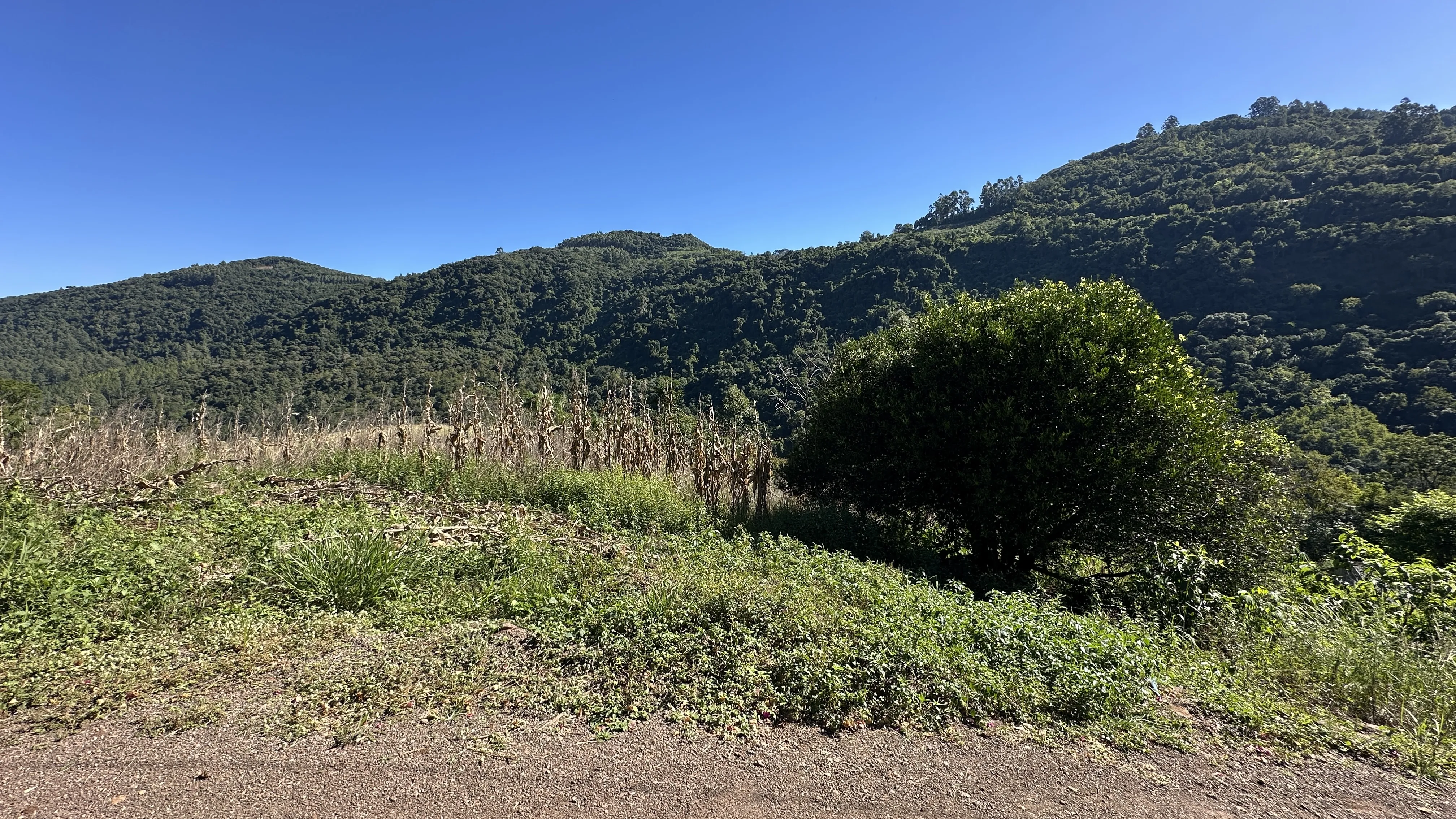 Área de terras com fundos para riacho à venda em Picada Café na Serra Gaúcha