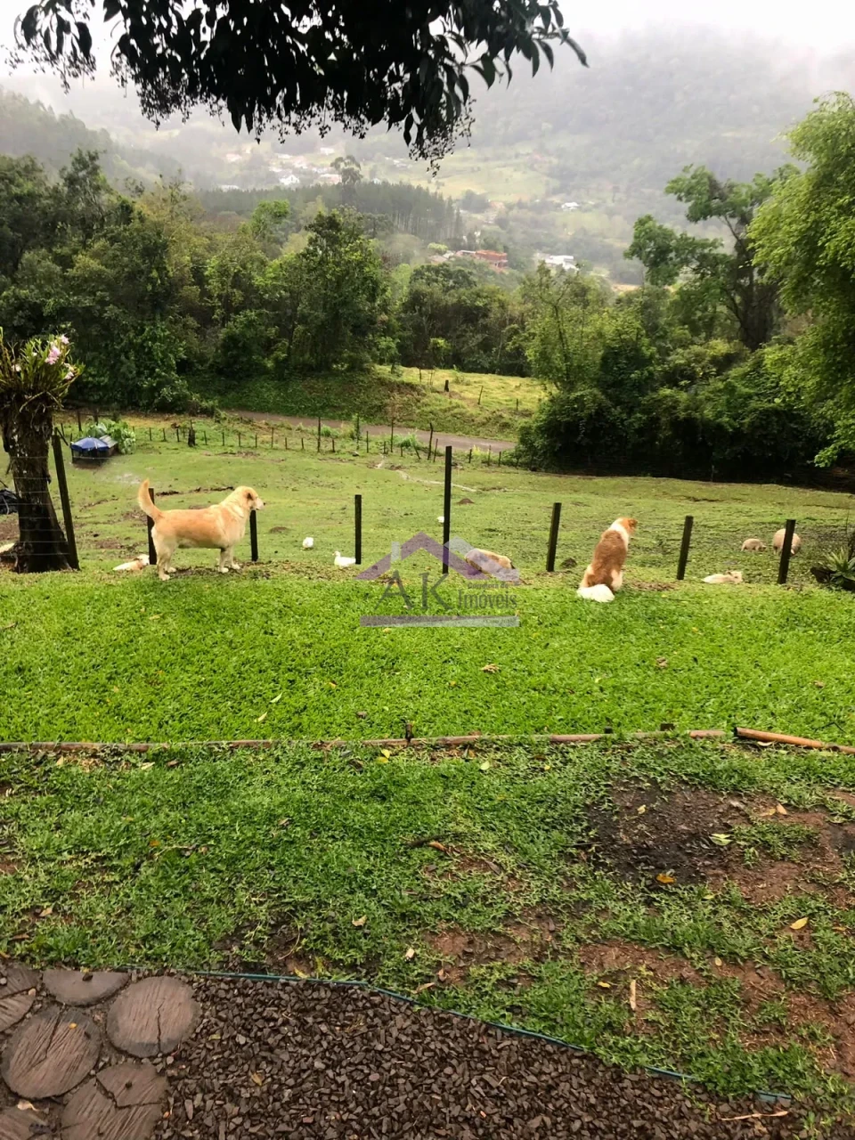 Imagens do imóveis Excelente sítio com casa enxaimel e açude à venda em Picada Café na Serra Gaúcha