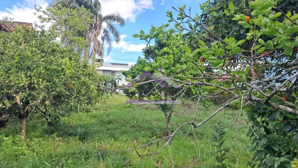 Excelente terreno com vista à venda na cidade de Ivoti