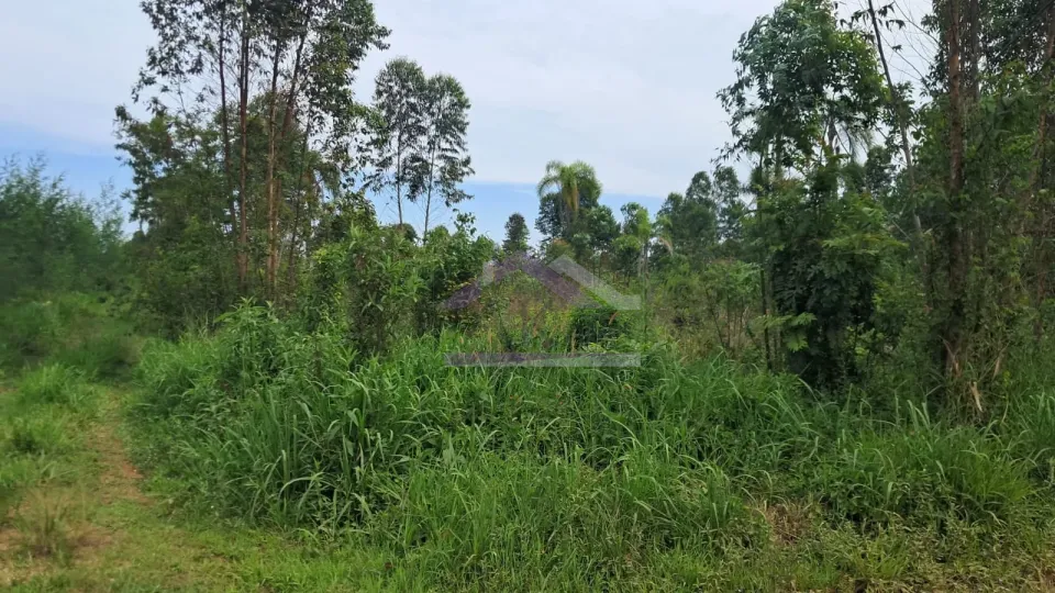 Imagens do imóveis Área de terra com 3 hectares e riacho à venda em Presidente Lucena