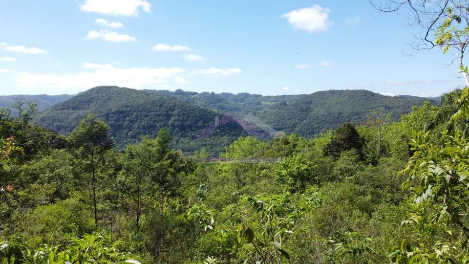 Imagens do imóveis Área de terra com vista à venda em Picada Café na Serra Gaúcha