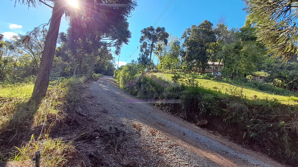 Excelente área de terra com ótima localizaçao à venda em Nova Petrópolis