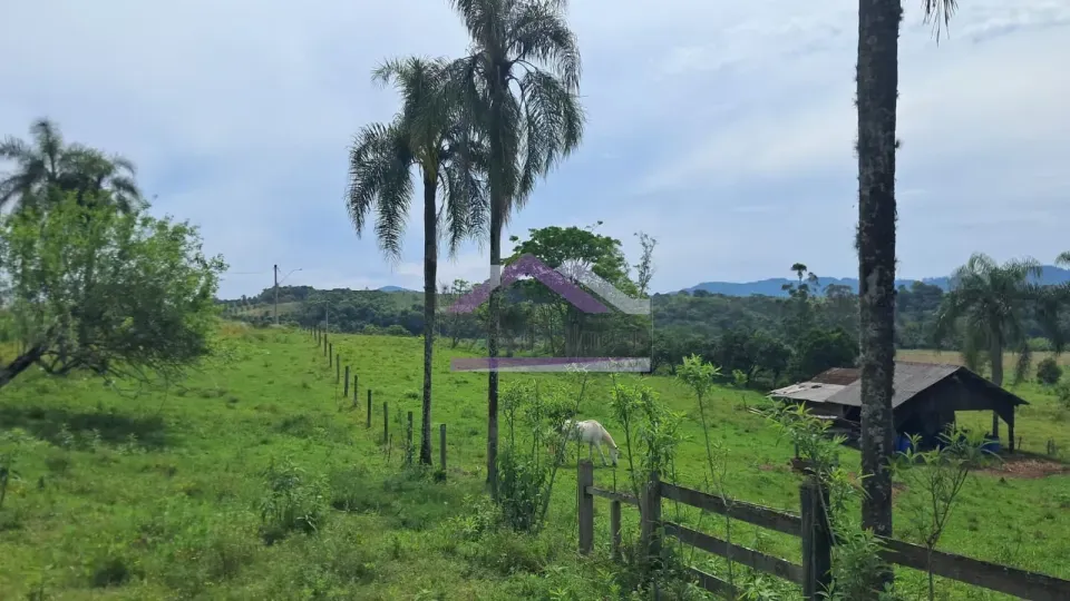 Imagens do imóveis Excelente área de terra com ótima localizaçâo à venda em Presidente Lucena