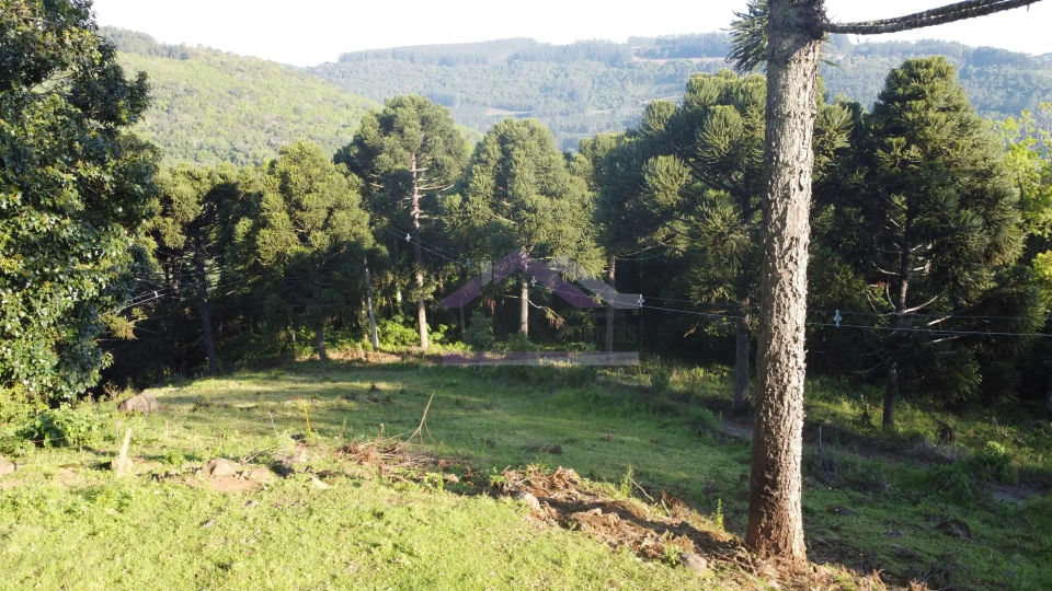 Excelente área de terra com ótima localizaçao à venda em Nova Petrópolis