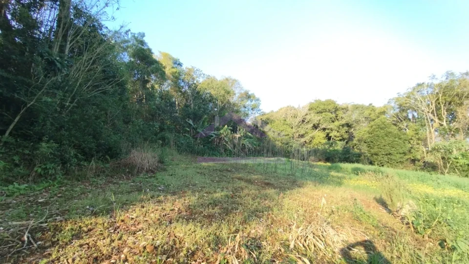 Terreno à venda no bairro Floresta em Picada Café na Serra Gaúcha