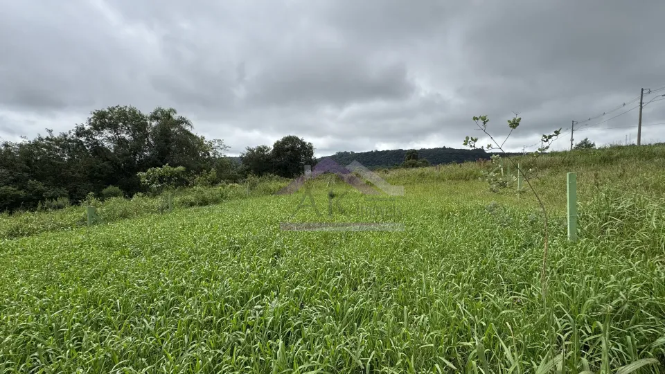 Imagens do imóveis Terreno à venda em Nova Petrópolis na Serra Gaúcha