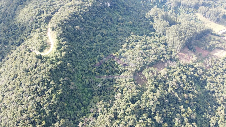 Área de terra com potencial de vista à venda em Picada Café na Serra Gaúcha