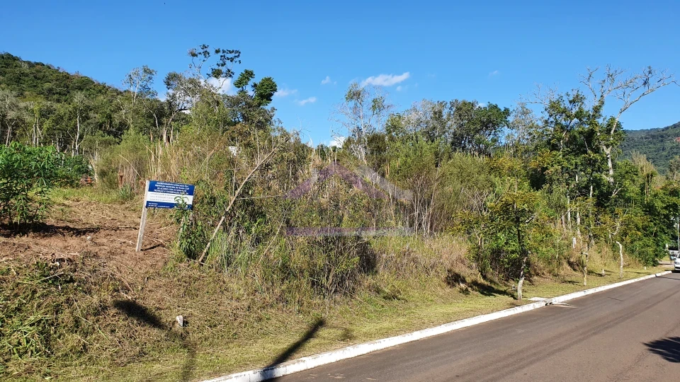 Imagens do imóveis Terreno à venda no Centro de Picada Café, na Serra Gaúcha