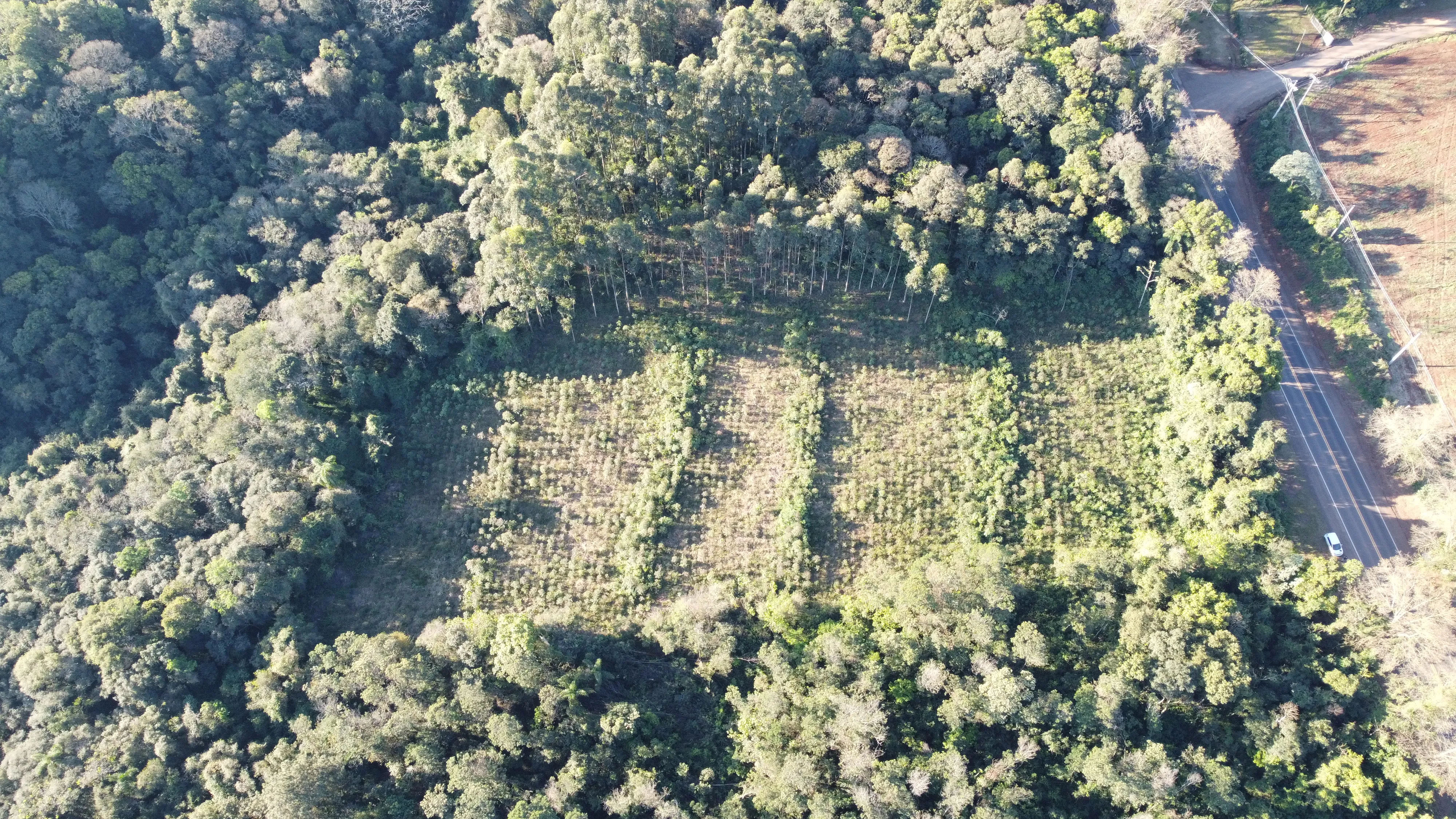 Área de terras com duas frentes para a BR 116 à venda em Picada Café na Serra Gaúcha