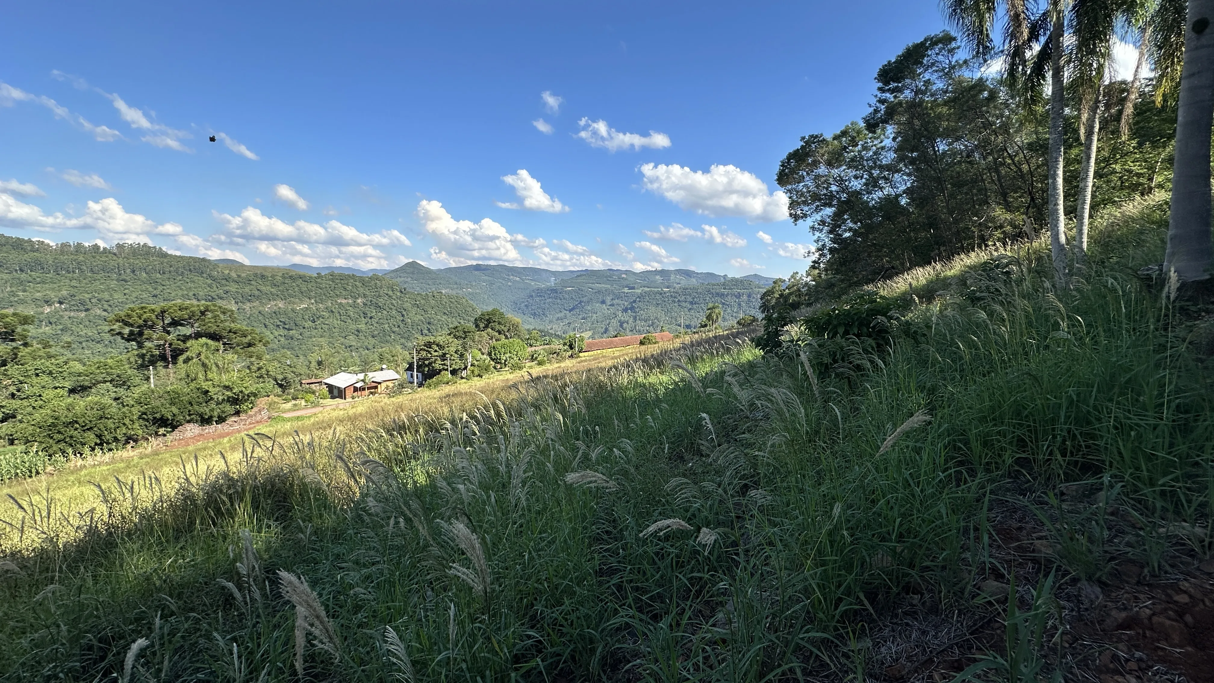 Área de terra com vista à venda em Nova Petrópolis na Serra Gaúcha