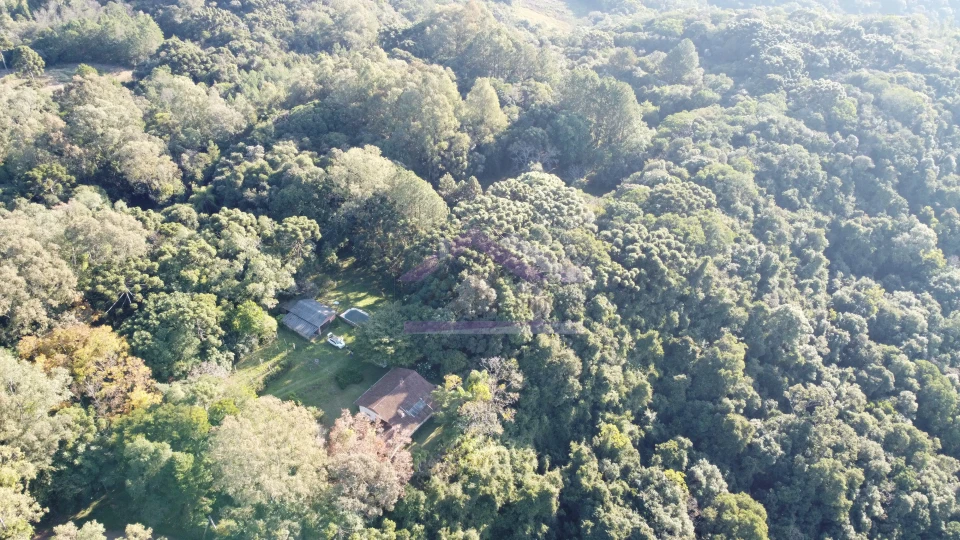 Imagens do imóveis Sítio com vista espetacular à venda em Santa Maria do Herval
