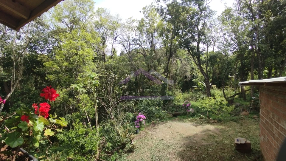 Sítio com duas casas à venda em Picada Café na Serra Gaúcha